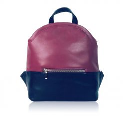Two Colour Backpack