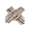 Snake Motif Gloves